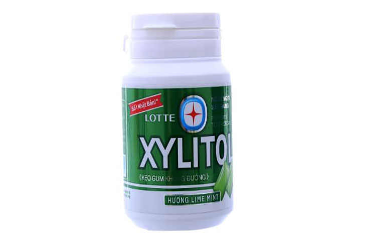 Xylitol Handy Lime Mint -Bottle 58g