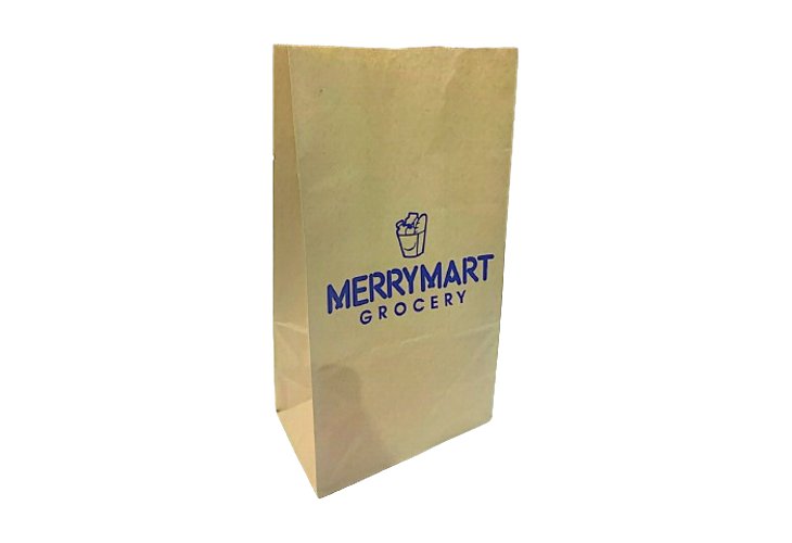 Kraft Brown Paper Bag #45 w/ Print 1 Blue 80GSM